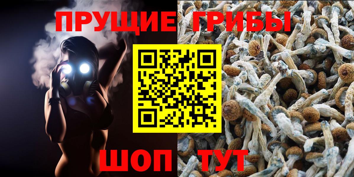 Псилоцибиновые грибы мухоморы Усолье-Сибирское