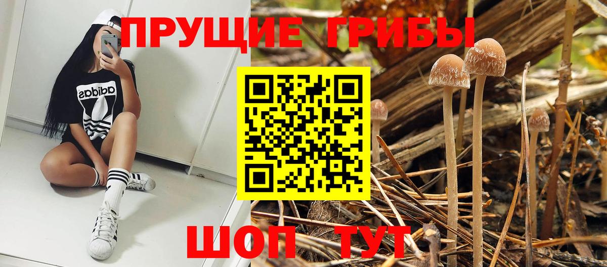 Усолье-Сибирское  Галлюциногенные грибы ЛСД  Псилоцибиновые грибы MAGIC MUSHROOMS  сколько стоит  Вход с VPN 